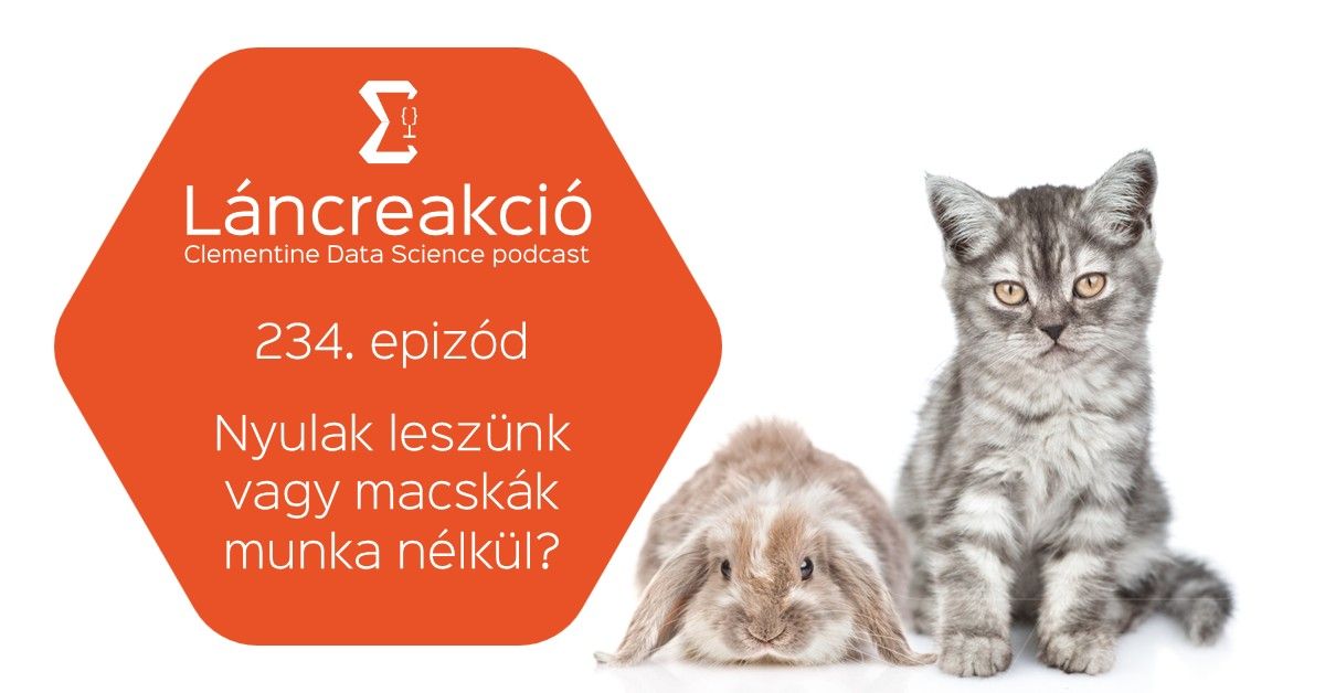 Nyulak leszünk vagy macskák munka nélkül?